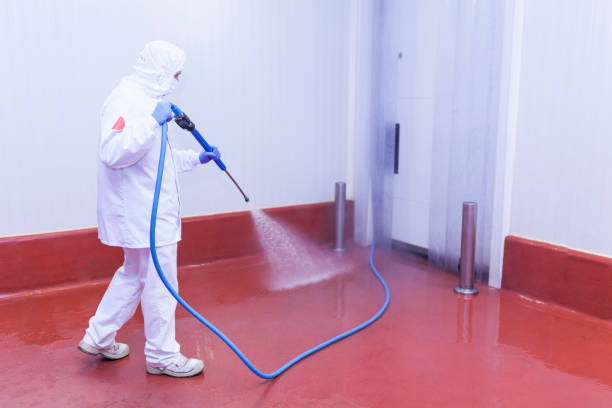 Best Roof Washing  in La Junta, CO